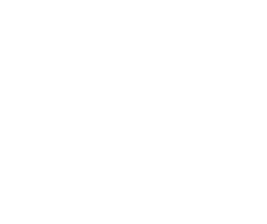 TopFun Party